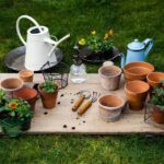 Best Gardening Tools Hyderabad