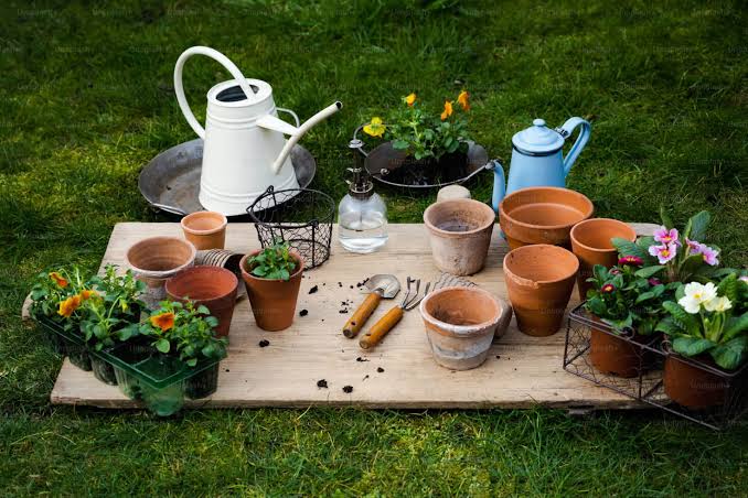 Best Gardening Tools Hyderabad
