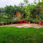 terrace garden